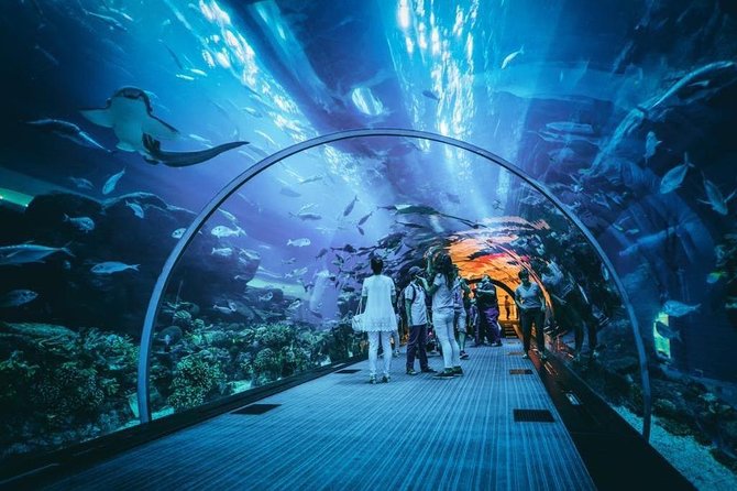 Dubai Aquarium and Underwater Zoo Admission Ticket with Options - Ticket and service reality check: protect yourself