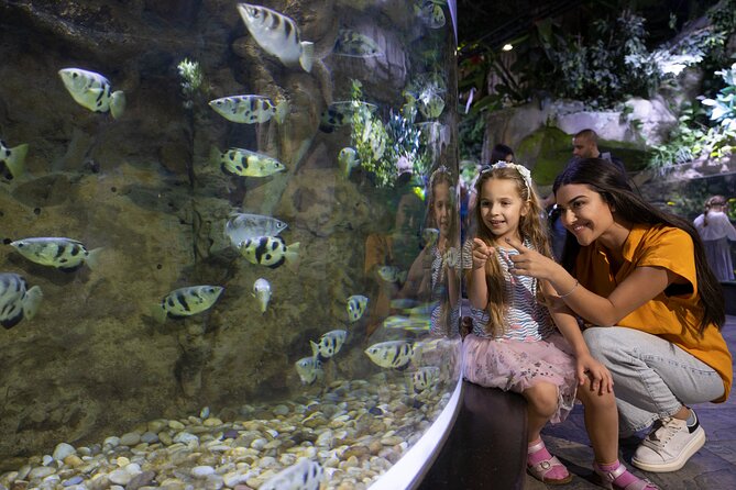 Dubai Aquarium and Underwater Zoo Entrance Ticket - Inside Dubai Mall’s giant tank: the wow factor you can plan around