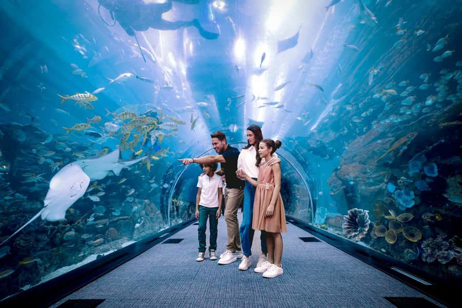 Dubai: Aquarium and Underwater Zoo Experience - Key things to know before you go