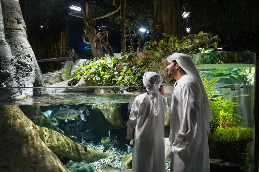 Dubai: Aquarium and Underwater Zoo Experience - First stop: what the Dubai Aquarium and Underwater Zoo experience feels like