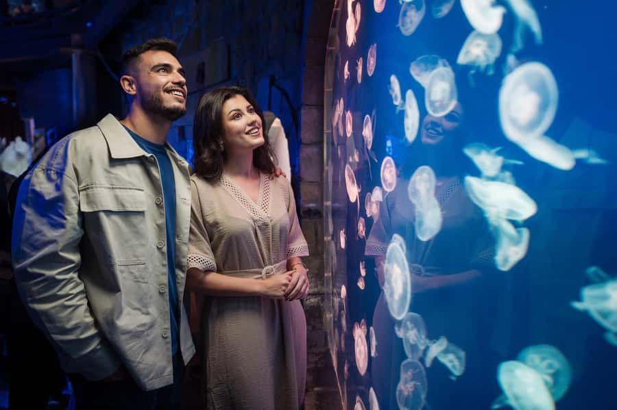 Dubai: Aquarium and Underwater Zoo Experience - Aquarium tunnel and ecological zones: how the route keeps your attention