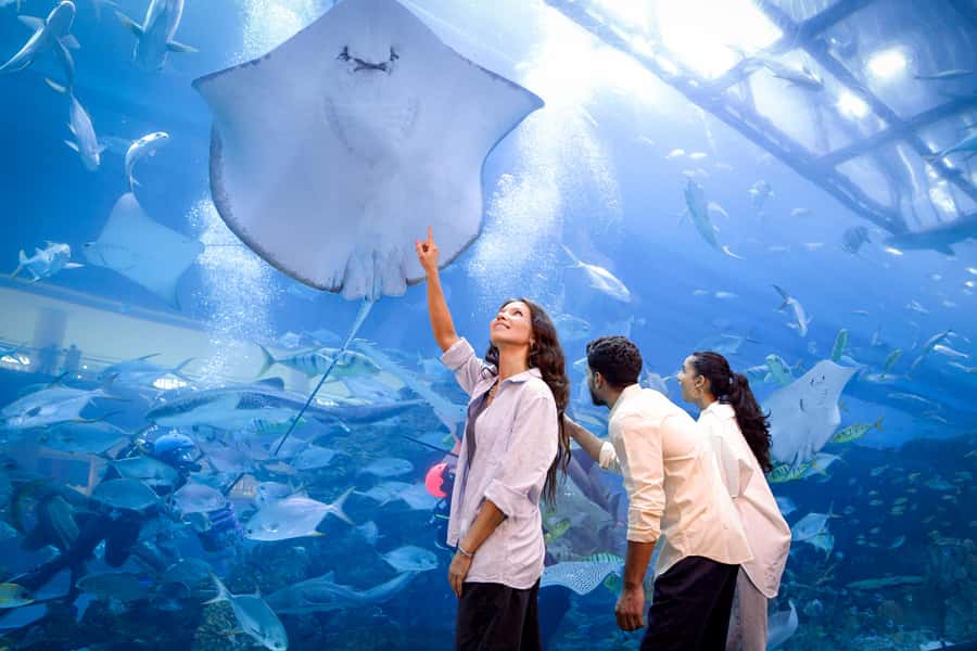 Dubai: Aquarium and Underwater Zoo Experience - Glass bottom boat and feeding add-ons in Ultimate and VIP