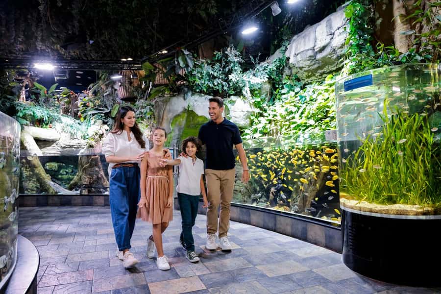 Dubai: Aquarium and Underwater Zoo Experience - Timing in Dubai: opening hours, last entry, and a realistic visit length
