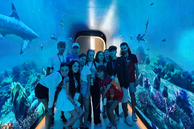 Dubai Aquarium And Underwater Zoo Tickets At Dubai Mall - Key highlights to know before you go