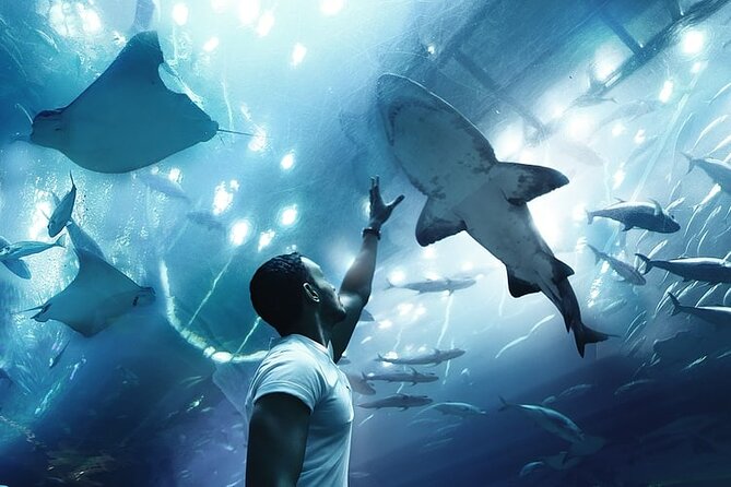 Dubai Aquarium And Underwater Zoo Tickets At Dubai Mall - Booking through Efficient Tourism: smooth handling, clear expectations