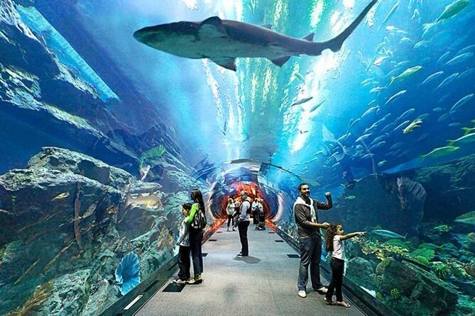 Dubai Aquarium and Underwater Zoo with Penguin Cove Tickets. - Best for families, animal lovers, and anyone short on time