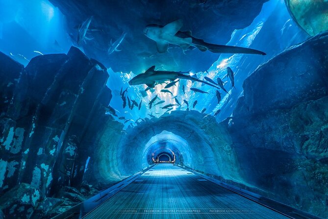 Dubai Aquarium and Underwater Zoo with Penguin Cove Tickets. - Small logistics to keep your day smooth
