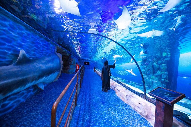 Dubai Aquarium and Underwater Zoo with Penguin Cove Tickets. - Should you book this Dubai Aquarium and Underwater Zoo with Penguin Cove?