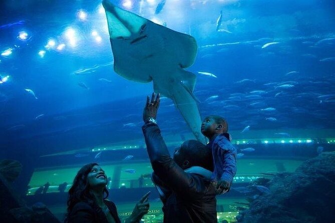 Dubai Aquarium underater zoo penguin cove with optional transport - Tunnel Walks, Behind-the-Scenes Extras, and the Staff Factor