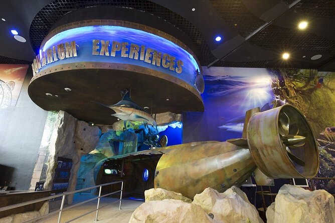 Dubai Aquarium & Underwater Zoo - Dubai Aquarium’s Real Hook: It’s Huge, and It’s Indoors