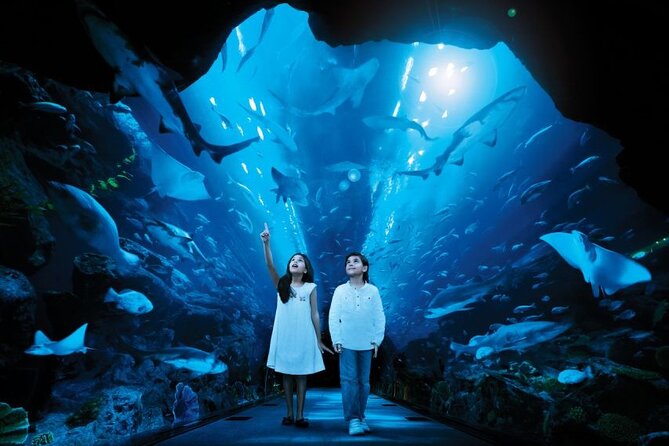 Dubai Aquarium & Underwater Zoo - What the “1 to 5 Hours” Range Means in Real Life