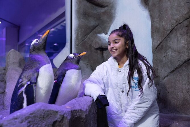 Dubai Aquarium & Underwater Zoo - Crowds in Dubai Mall: The One Real Trade-Off