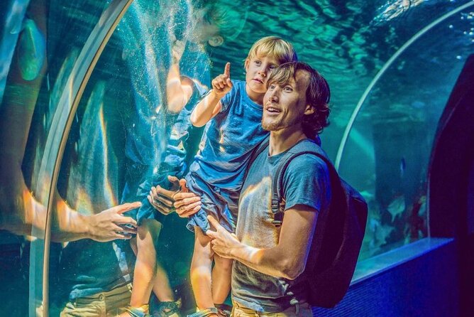 Dubai Aquarium & Underwater Zoo - Optional Add-Ons: Penguin Cove and Glass Bottom Boat