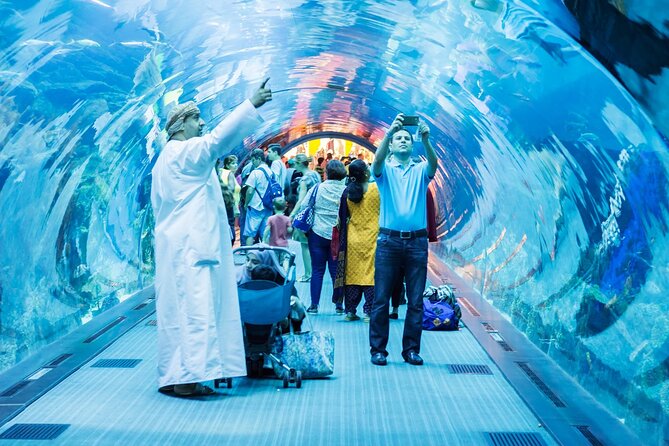 Dubai Aquarium & Underwater Zoo Entrance Ticket - The suspended aquarium: your best “wow” moment starts overhead