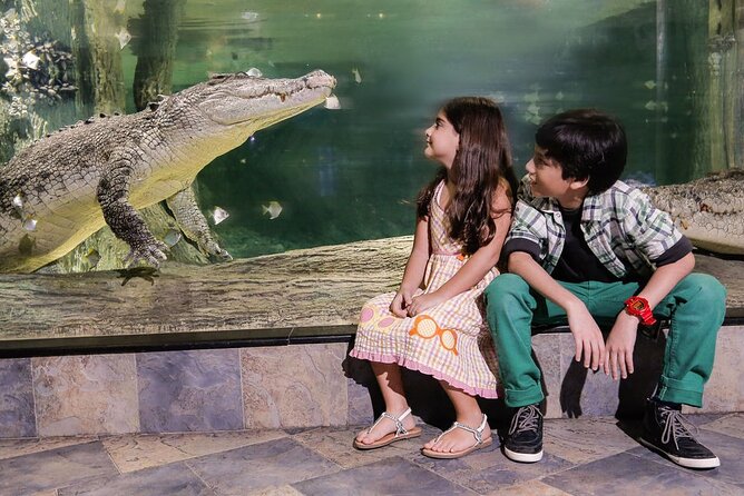 Dubai Aquarium & Underwater Zoo Entrance Ticket - Who should book this ticket, and who might want something else