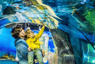 Dubai Aquarium & Underwater Zoo Entrance Ticket - Underwater Zoo: up-close animal variety, including King Croc