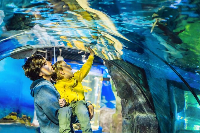 Dubai Aquarium & Underwater Zoo Entrance Ticket - Underwater Zoo: up-close animal variety, including King Croc