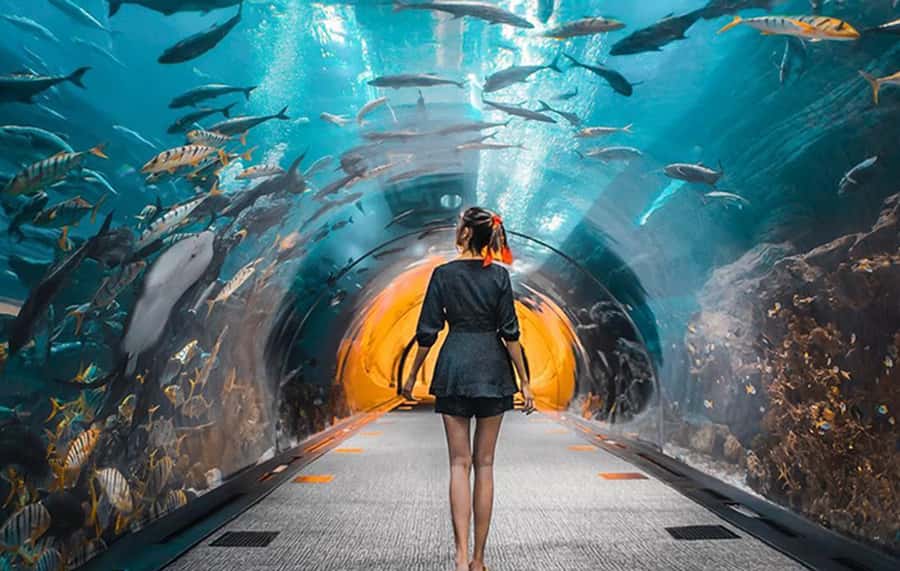 Dubai: City Tour with Burj Khalifa and Underwater Zoo Ticket - Key things to know before you go