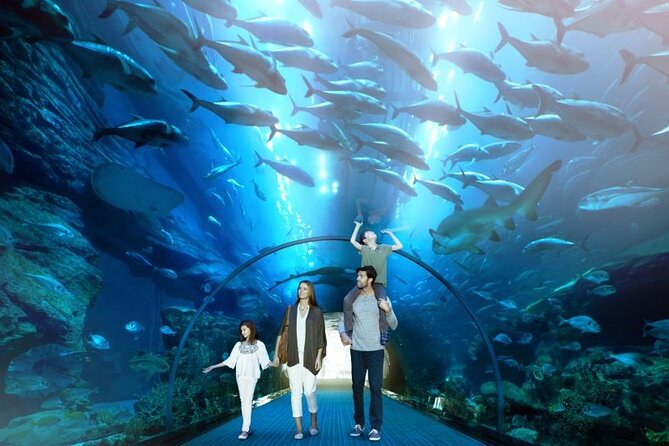 Dubai Mall Aquarium and Underwater Zoo Ticket - The 10 Million Liter Suspended Aquarium: The Scale Is the Point