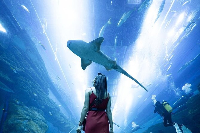 Dubai Mall Aquarium and Underwater Zoo Ticket - Underwater Zoo Encounters, Including the King Croc