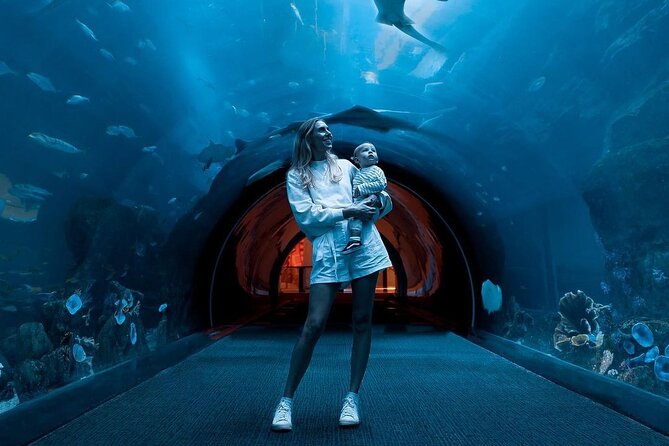 Dubai Mall Aquarium and Underwater Zoo Ticket - Getting In: Public Transport, Arrival Timing, and the Mall Maze