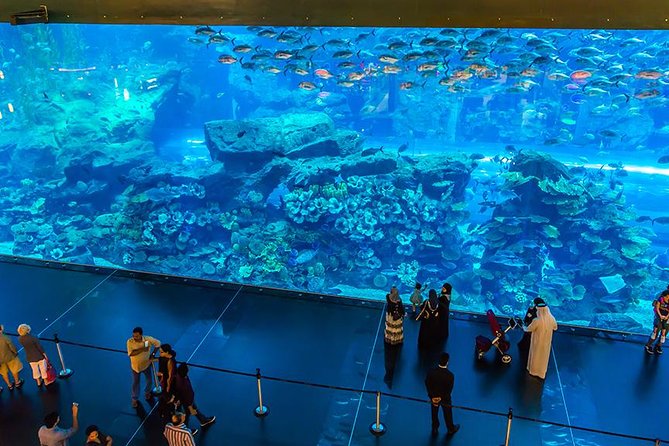 Dubai Mall Aquarium & Underwater Zoo with Penguin Cove Tickets - Underwater Zoo areas: reptiles, predators, and that close-up effect