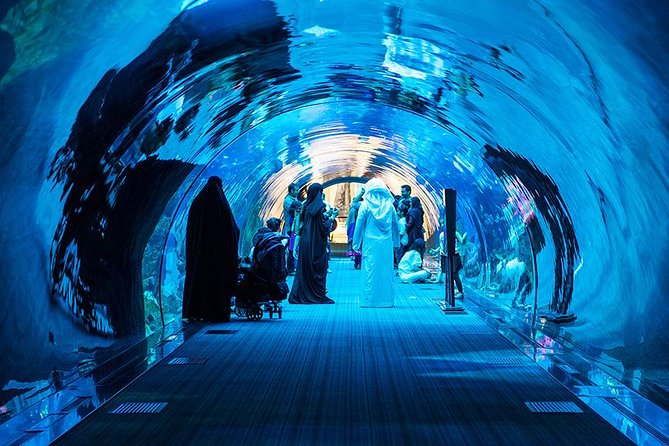 Dubai Mall Aquarium & Underwater Zoo with Penguin Cove Tickets - Penguin Cove: how this ticket handles the penguin experience