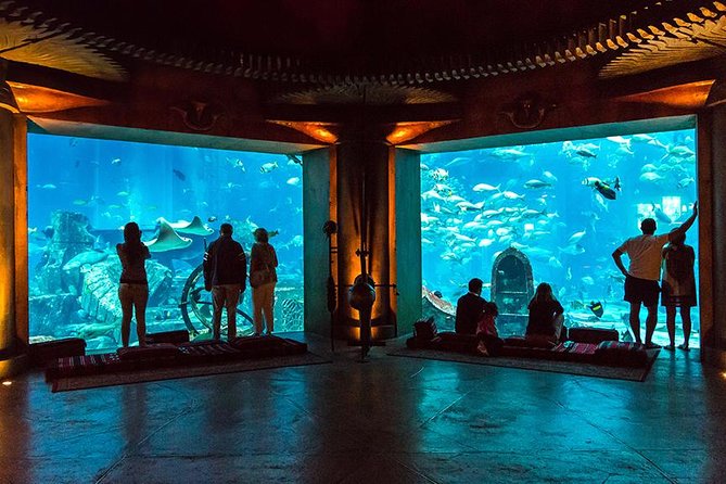 Dubai Mall Aquarium & Underwater Zoo with Penguin Cove Tickets - Crowds, flow, and how to avoid the downstairs-upstairs scramble