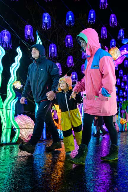 Edinburgh: Edinburgh Zoo Giant Lanterns Entry Tickets - Underwater-themed lanterns and the animals you may spot