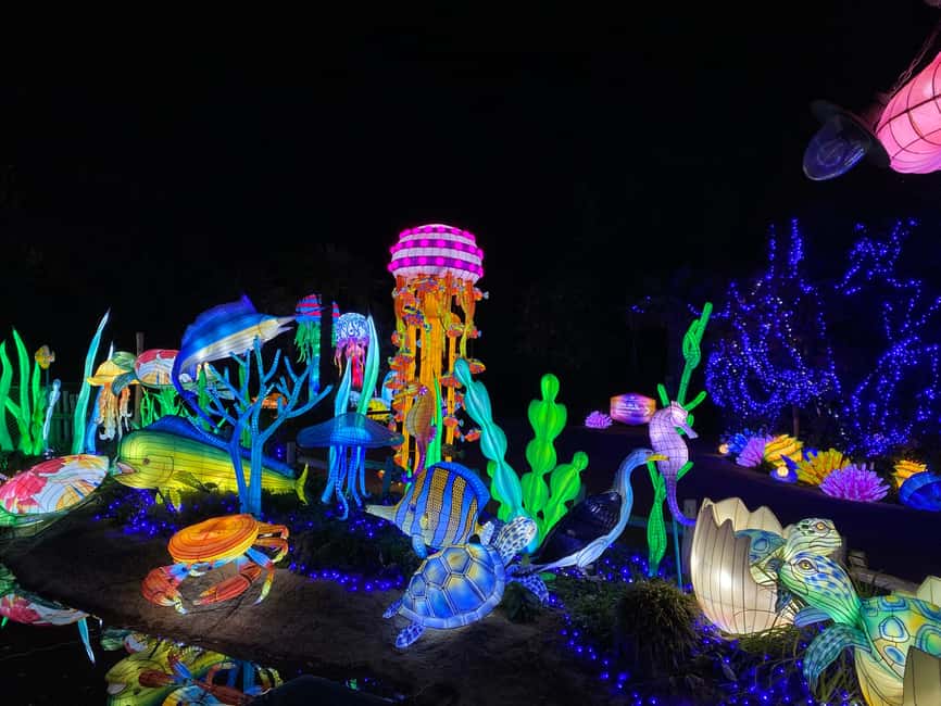 Edinburgh: Edinburgh Zoo Giant Lanterns Entry Tickets - Food, drinks, and warm-up breaks along the luminous trail