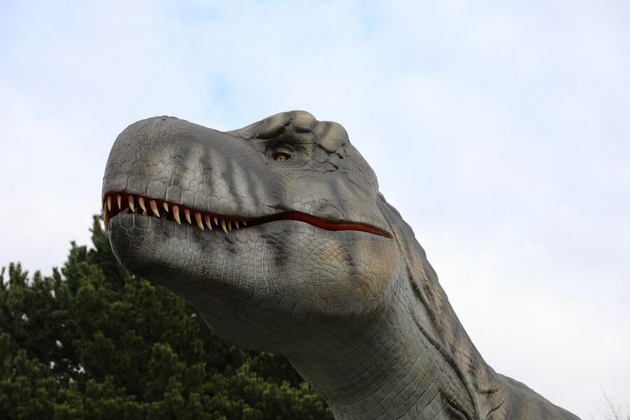 Edinburgh Zoo Entrance Ticket - Value for Money: Is $36 Worth It?