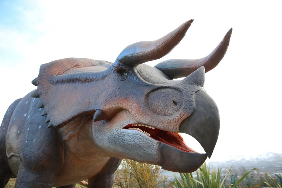 Edinburgh Zoo Entrance Ticket - Food, Benches, Toilets, and the Comfort Check You Should Do First