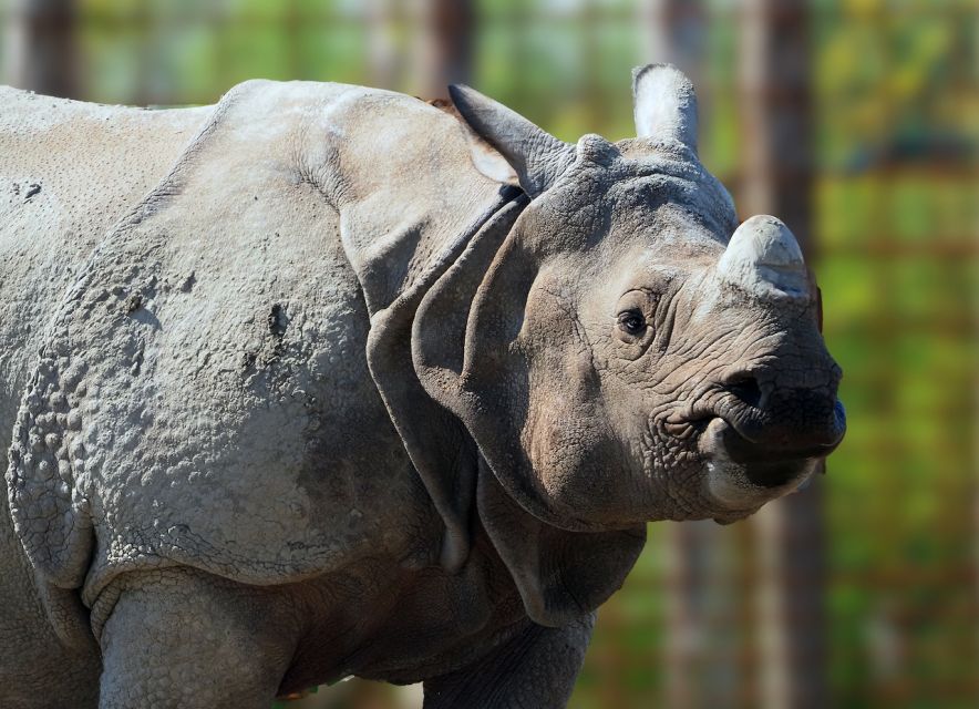 Eindhoven Zoo Entry Ticket - Key highlights worth planning around