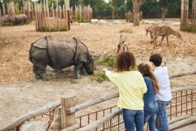 Eindhoven Zoo Entry Ticket - Tickets, Timing, and What You Actually Get
