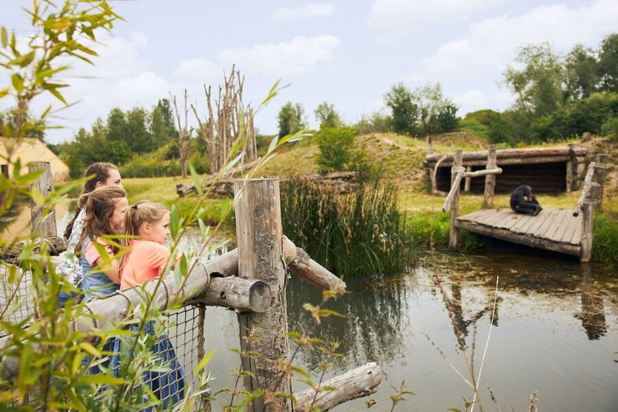 Eindhoven Zoo Entry Ticket - Elephants, Polar Bears, and the Animals People Remember