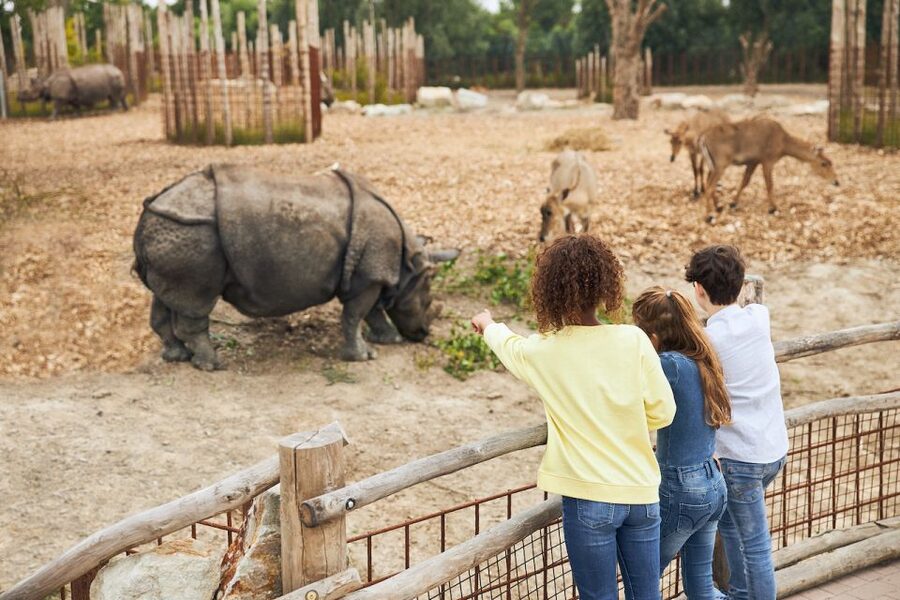 Eindhoven Zoo Entry Ticket - Tickets, Timing, and What You Actually Get