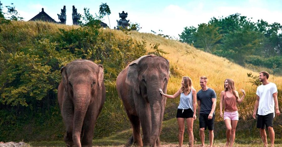 Elephant Care Experience with Mud Bath at Bali Zoo - Mud and sand spa time: why you should wear swimwear