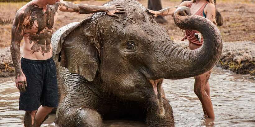 Elephant Care Experience with Mud Bath at Bali Zoo - River Wos splash: the part that turns the day into a full-body experience