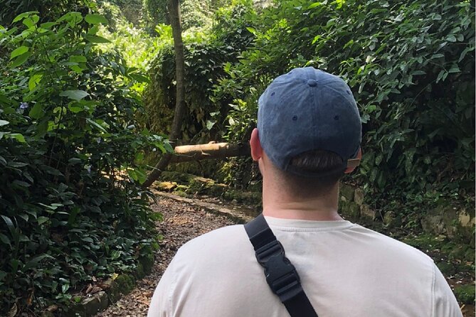 Entebbe Walking Tour (3 Hours) with Zoo and Botanical Gardens Options - Street food in Entebbe: rolex egg rolls and savory snacks with a guide