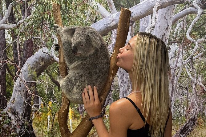 Featherdale Wildlife Park with Exclusive Private Transfers - Key highlights at a glance