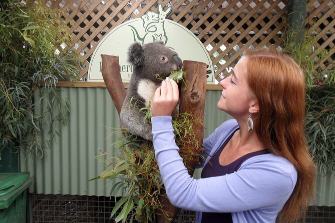 Featherdale Wildlife Park with Exclusive Private Transfers - Koalas, kangaroos, and wombats: what you’ll really spend time on