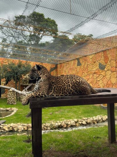 From Bogota: Jaime Duque Park and zoo with ticket included - Getting there from Bogotá: private pickup and a smooth ride