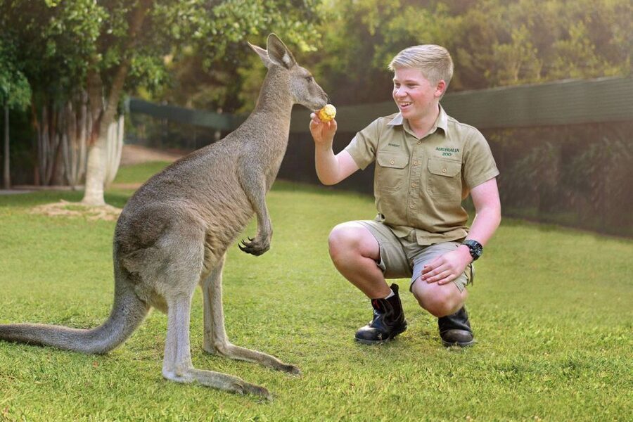 From Brisbane: Australia Zoo Ticket and Roundtrip Transfer - From Brisbane to Australia Zoo: the air-conditioned ride that makes it easy