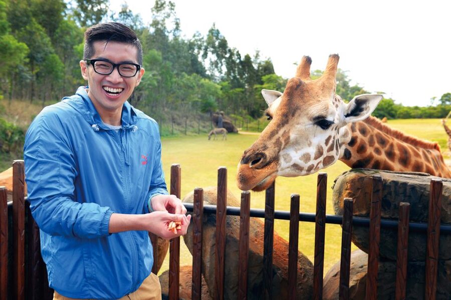 From Brisbane: Australia Zoo Ticket and Roundtrip Transfer - Australia Zoo basics: Steve Irwin’s legacy plus real conservation work