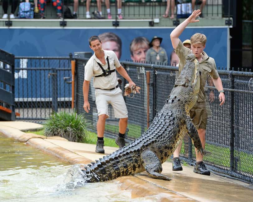 From Brisbane: Australia Zoo Ticket and Roundtrip Transfer - The African savannah exhibit: giraffes, rhinos, and zebras