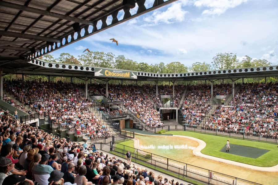 From Brisbane: Australia Zoo Transfer and Entry Ticket - The Wildlife Hospital Stop: Why It Works as a First Moment