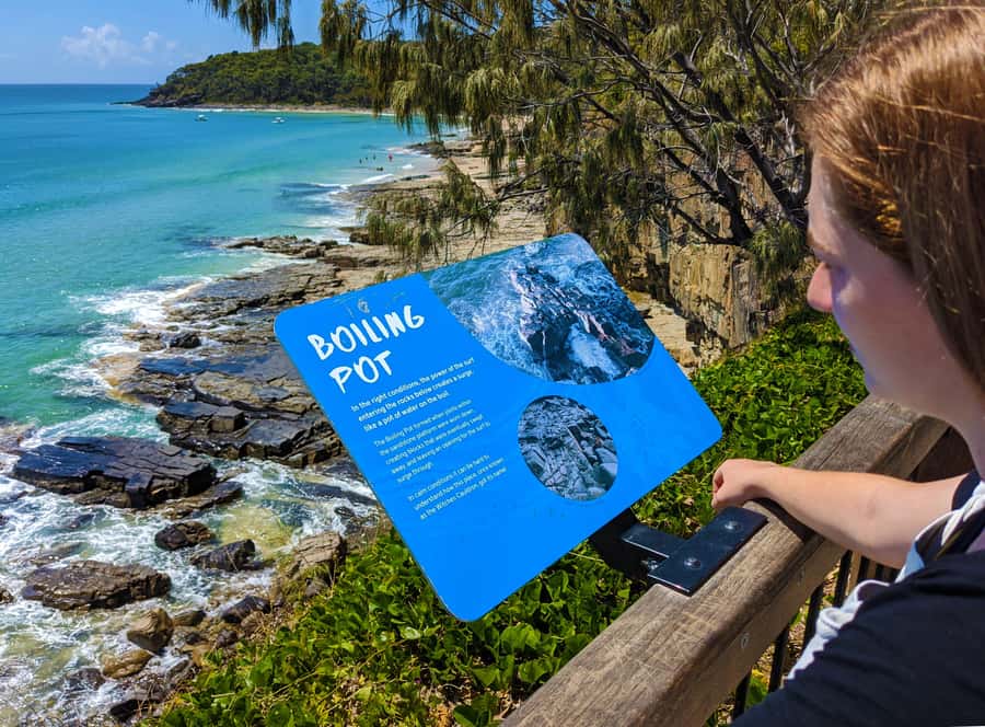 From Brisbane: Day Trip to Noosa, Glass House Mtns and Zoo - Noosa Beach and Noosa National Park: best “sun + nature” pairing for a single day