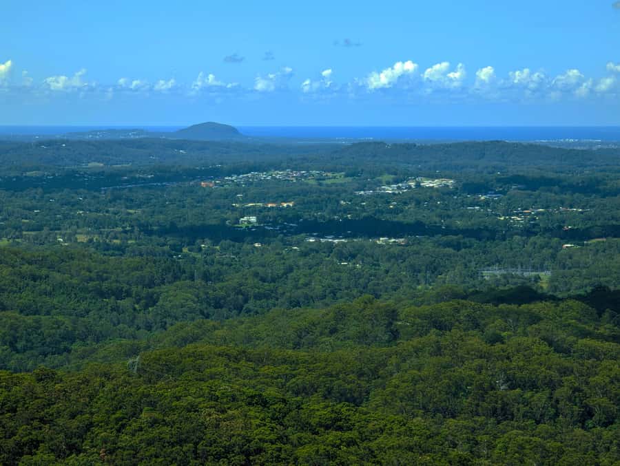 From Brisbane: Day Trip to Noosa, Glass House Mtns and Zoo - FAQ