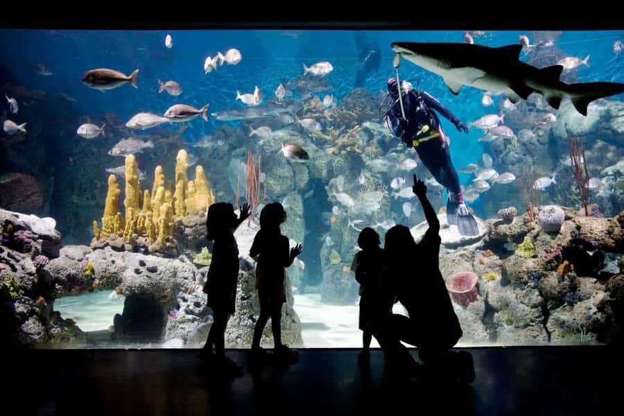 From Buenos Aires: Temaiken Zoo Tour with Ticket Included - Timing tips and what to do if something is closed