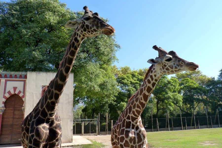 From Buenos Aires: Temaiken Zoo Tour with Ticket Included - Life in the water: the aquarium’s three-zone layout